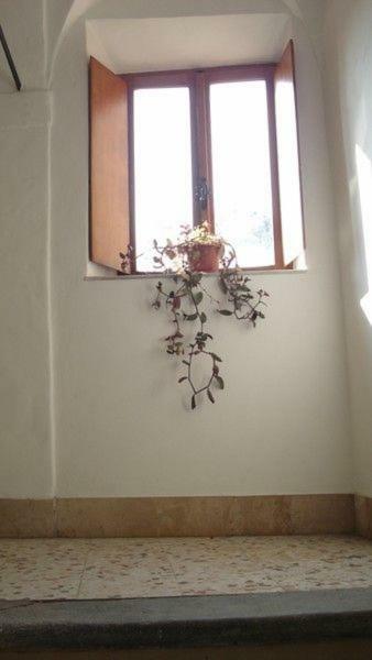Casa Maria E Casa Cristina Apartment ออร์เวียโต ภายนอก รูปภาพ